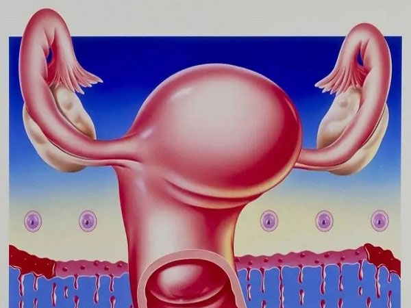 南阳助孕中介群：人工试管婴儿周期指南：从准备子宫内膜到移植的4个步骤在一篇文章中。