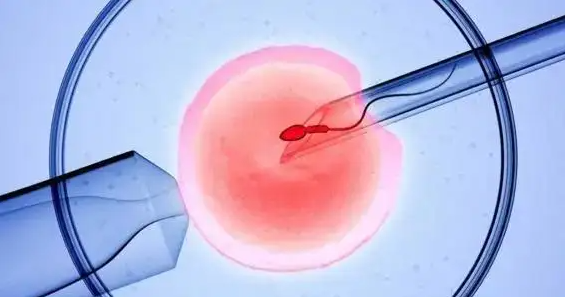 沧州高龄供卵中介-在此了解为什么男方在做试管婴儿前需要定期采精。